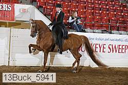 13buck_5941 proof