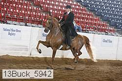 13buck_5942 proof