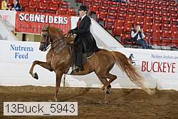 13buck_5943 proof