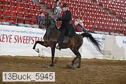 13buck_5945 proof