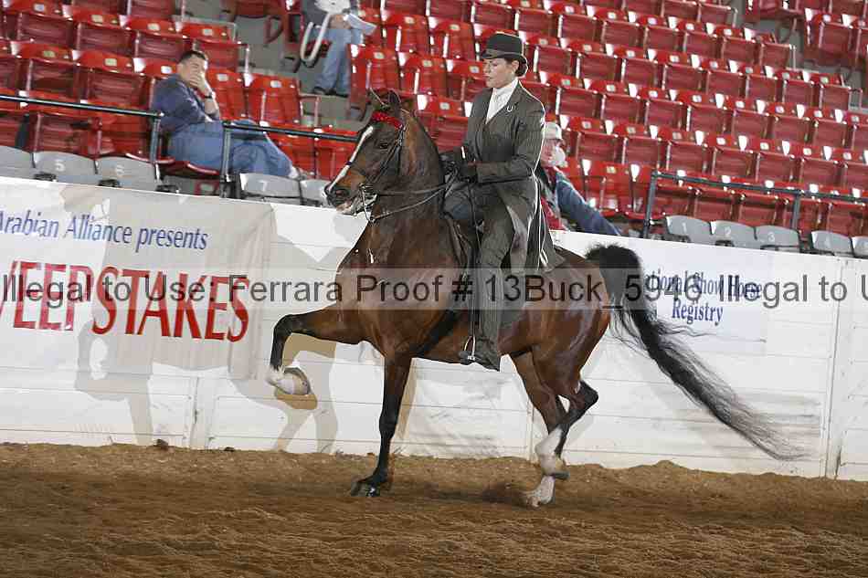 Proof 13buck_5946