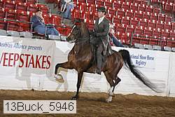 13buck_5946 proof