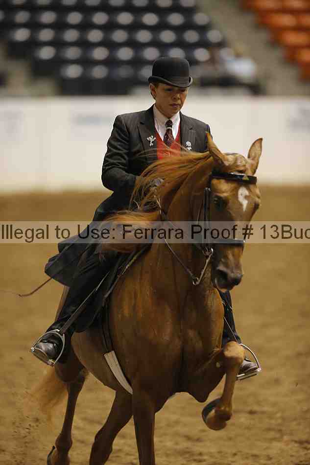 Proof 13buck_5947