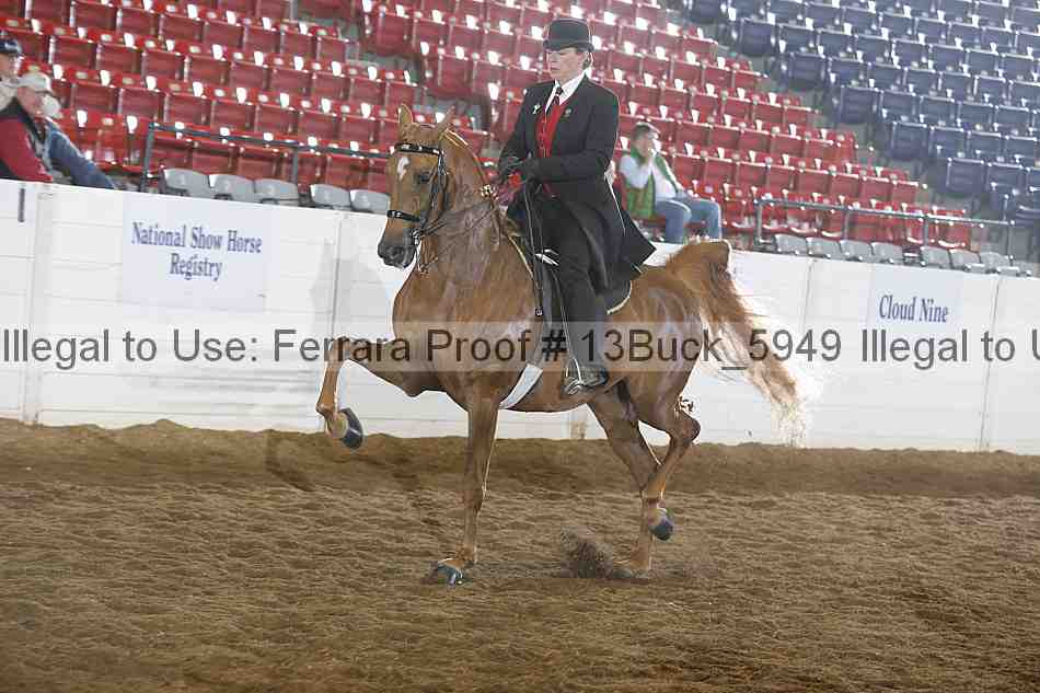 Proof 13buck_5949