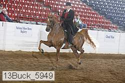 13buck_5949 proof