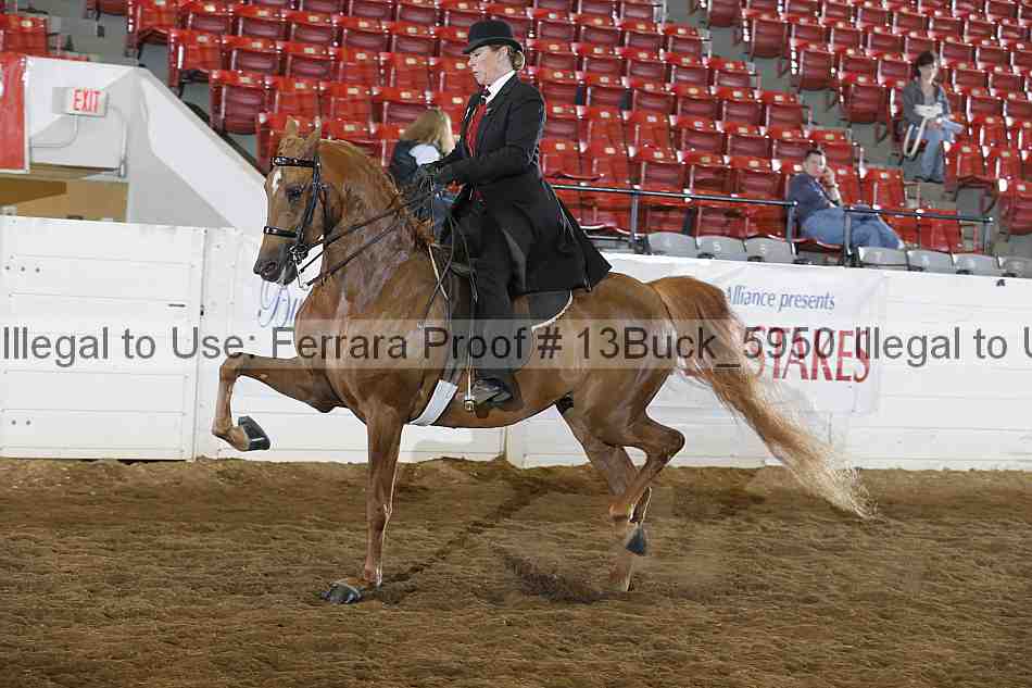 Proof 13buck_5950