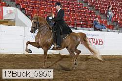 13buck_5950 proof