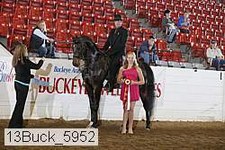13buck_5952 proof