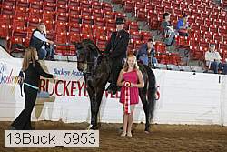 13buck_5953 proof
