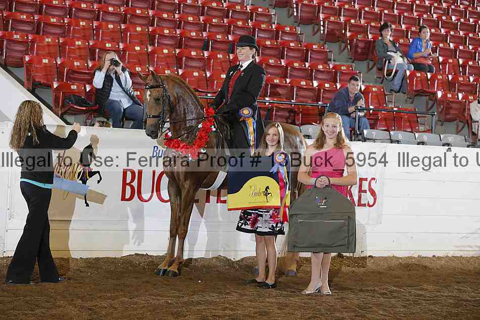Proof 13buck_5954