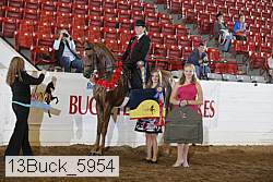 13buck_5954 proof