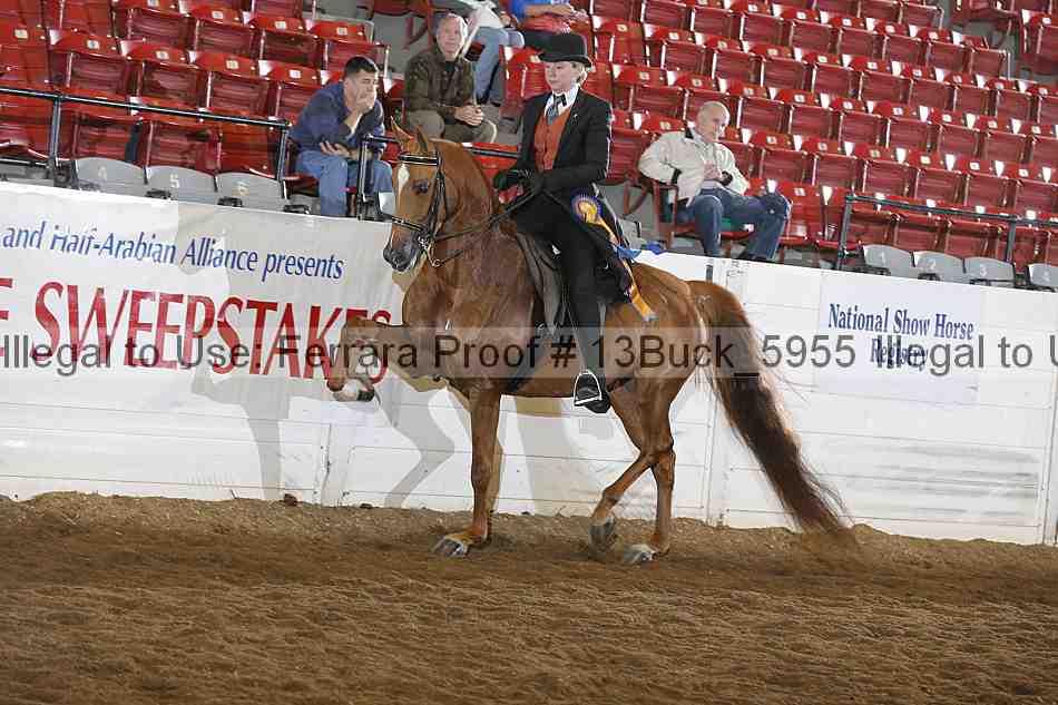 Proof 13buck_5955