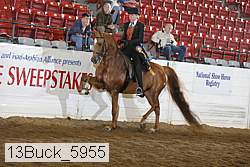 13buck_5955 proof