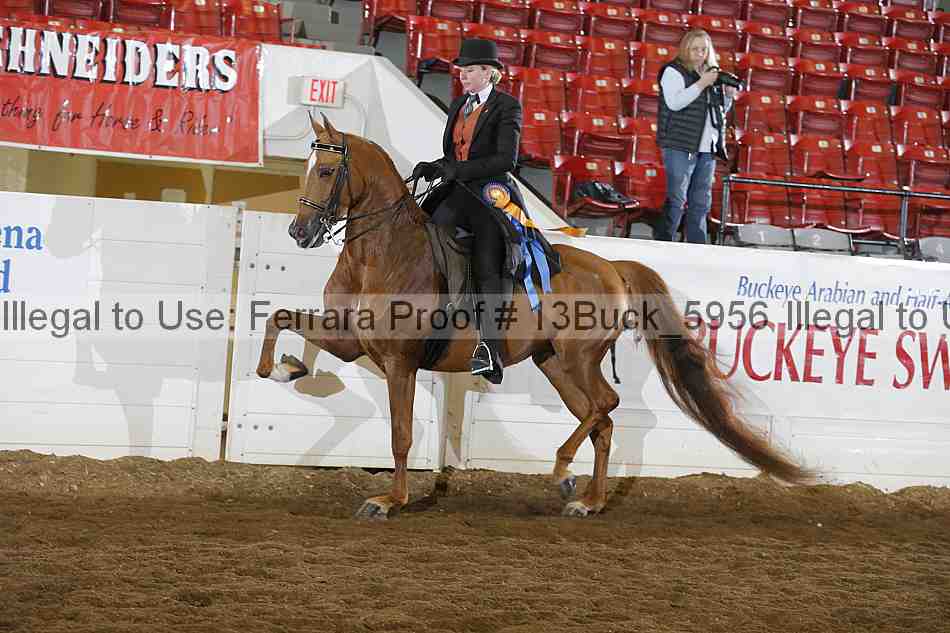 Proof 13buck_5956