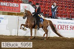 13buck_5956 proof