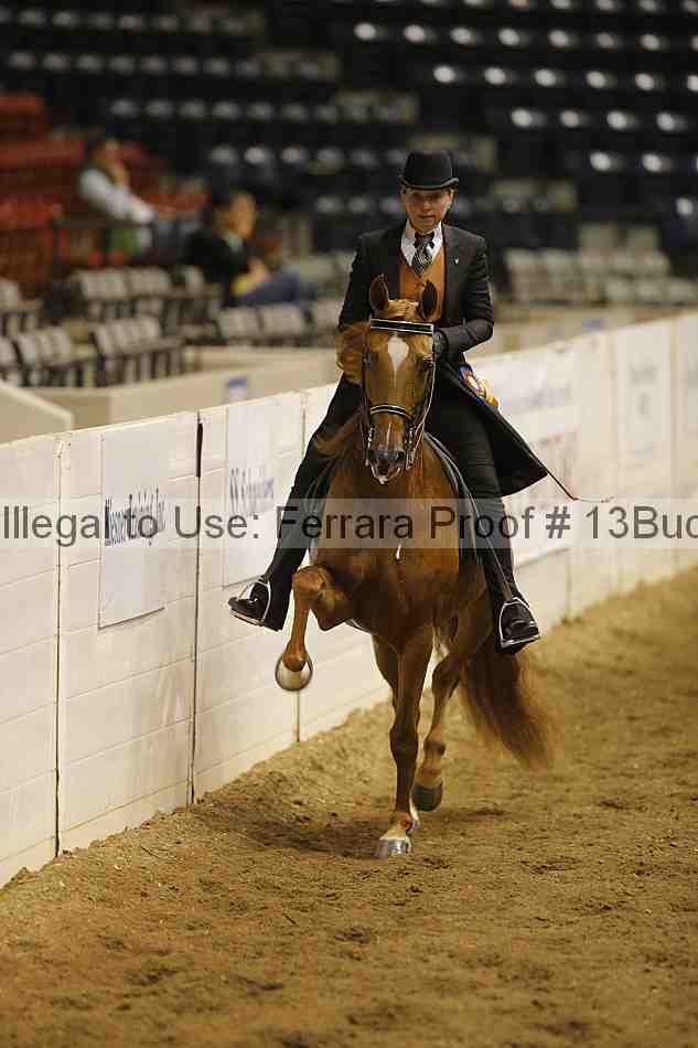 Proof 13buck_5957