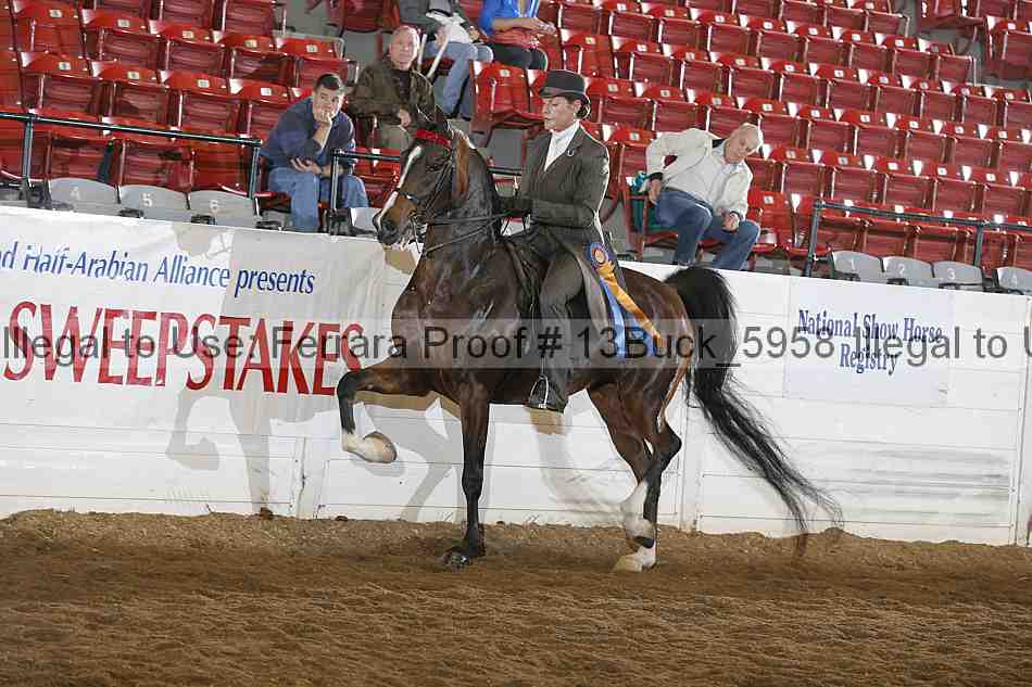 Proof 13buck_5958
