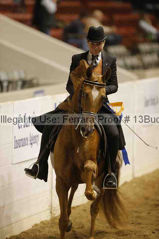 Proof 13buck_5959