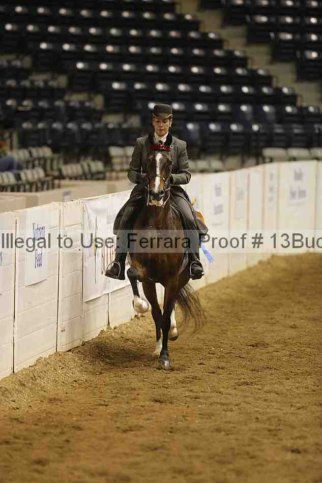 Proof 13buck_5960