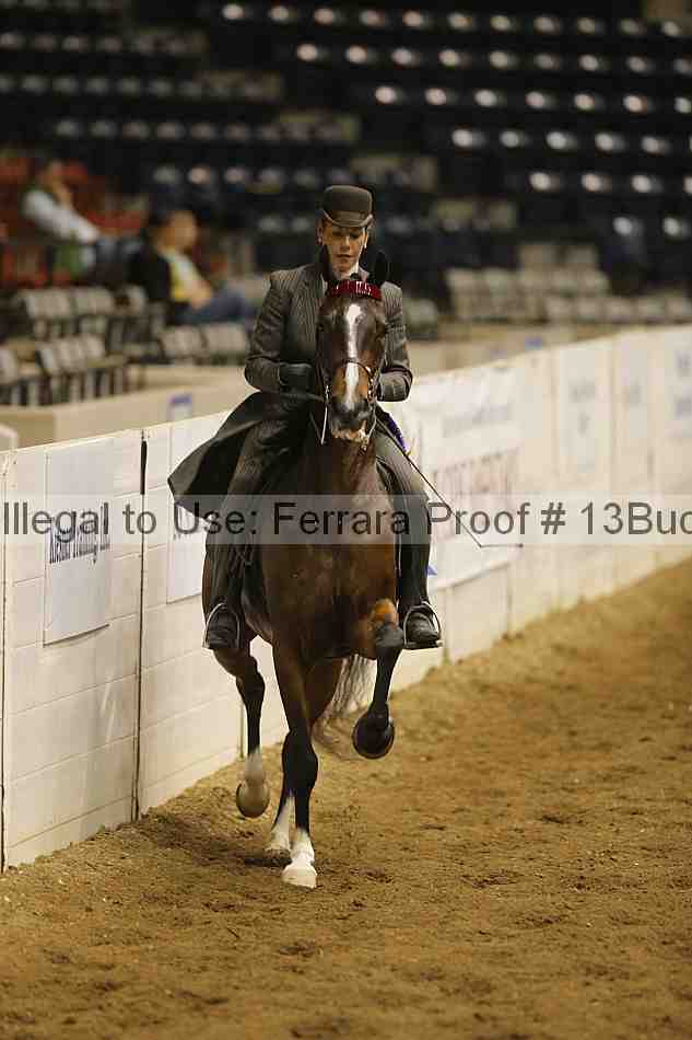 Proof 13buck_5961