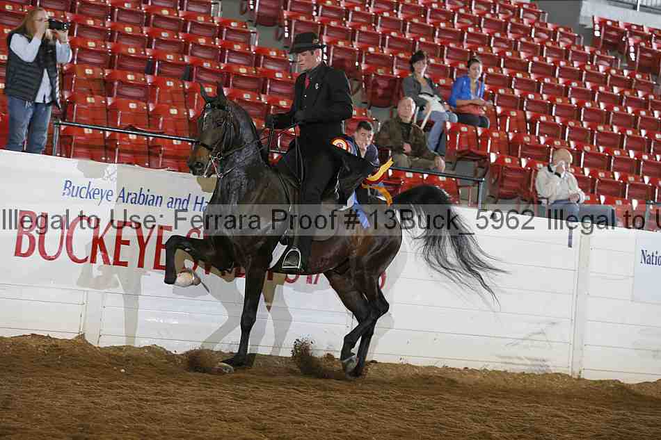 Proof 13buck_5962