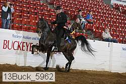 13buck_5962 proof