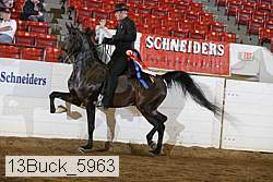 13buck_5963 proof