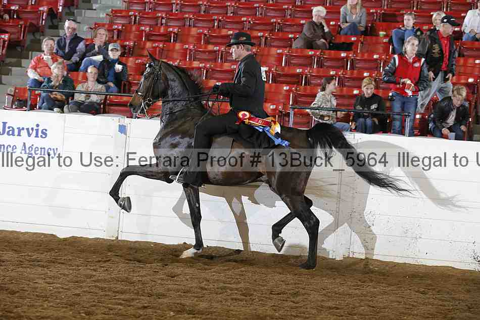 Proof 13buck_5964
