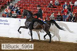 13buck_5964 proof