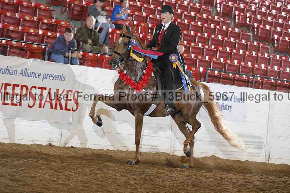 Proof 13buck_5967