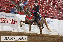 13buck_5967 proof