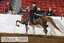 13buck_5968 proof