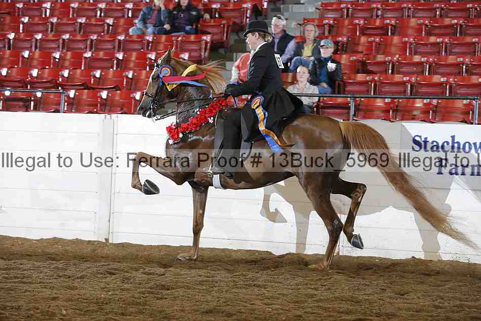 Proof 13buck_5969