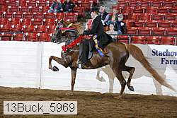 13buck_5969 proof