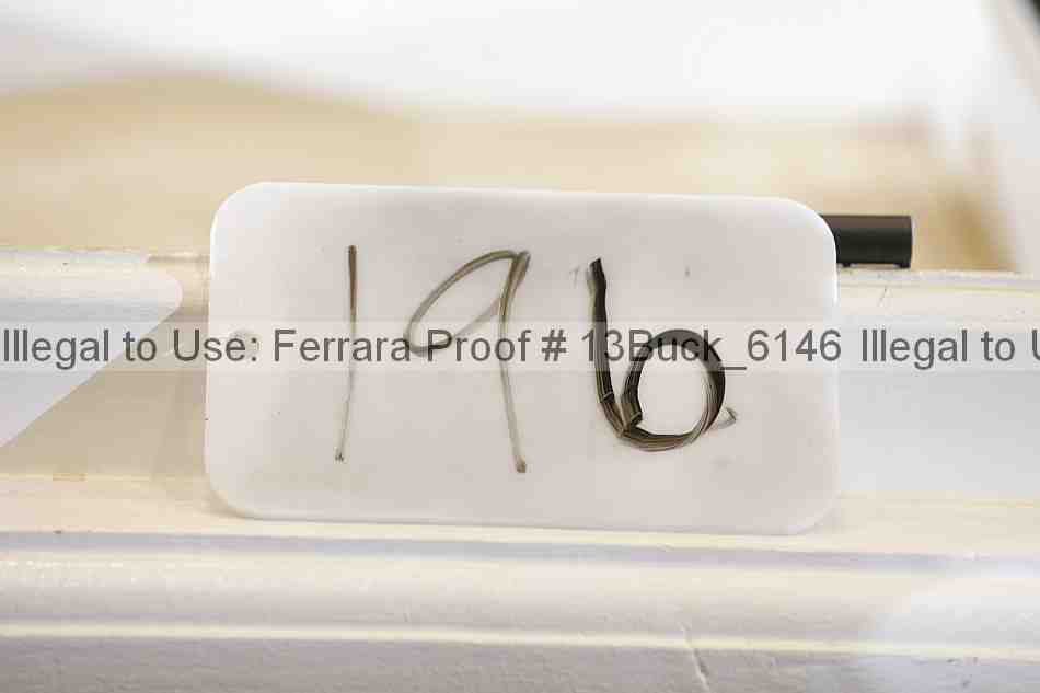 Proof 13buck_6146