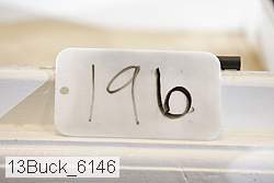 13buck_6146 proof