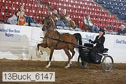 13buck_6147 proof