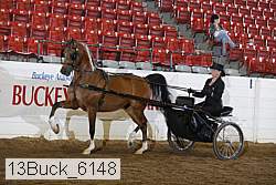 13buck_6148 proof