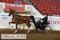 13buck_6149 proof