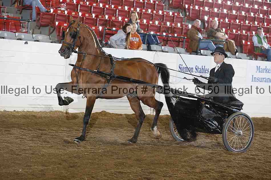 Proof 13buck_6150