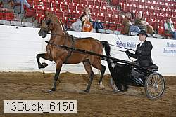 13buck_6150 proof