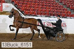 13buck_6151 proof