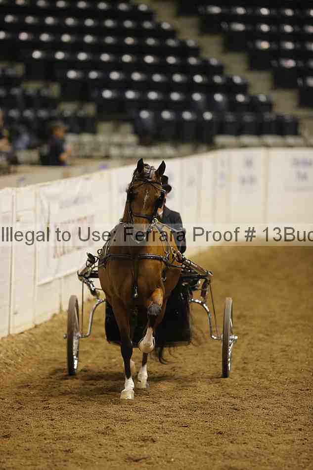Proof 13buck_6153