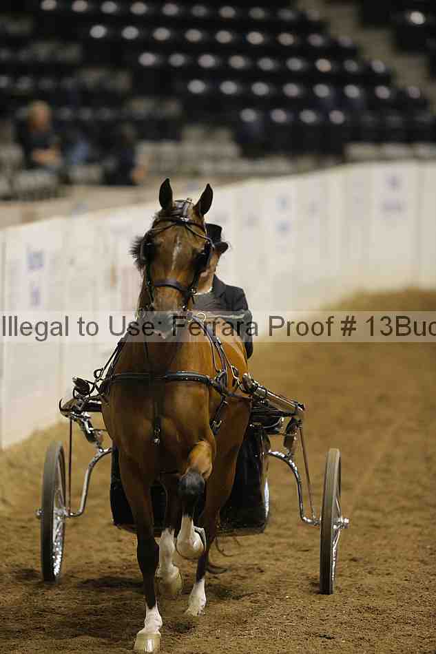 Proof 13buck_6154