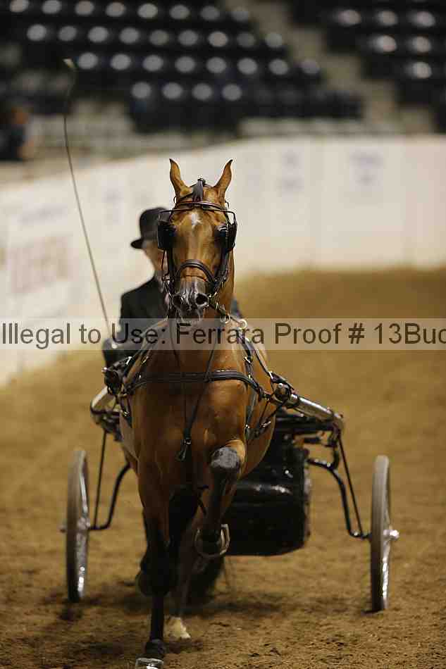 Proof 13buck_6155