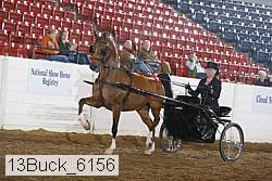 13buck_6156 proof