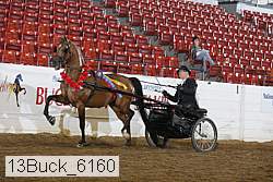 13buck_6160 proof