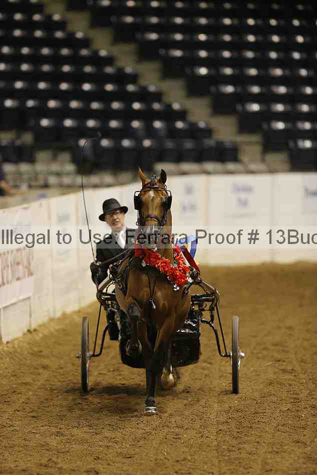 Proof 13buck_6161