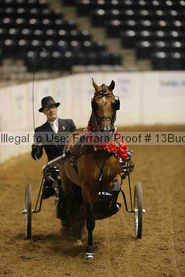 Proof 13buck_6162