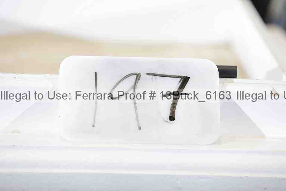 Proof 13buck_6163